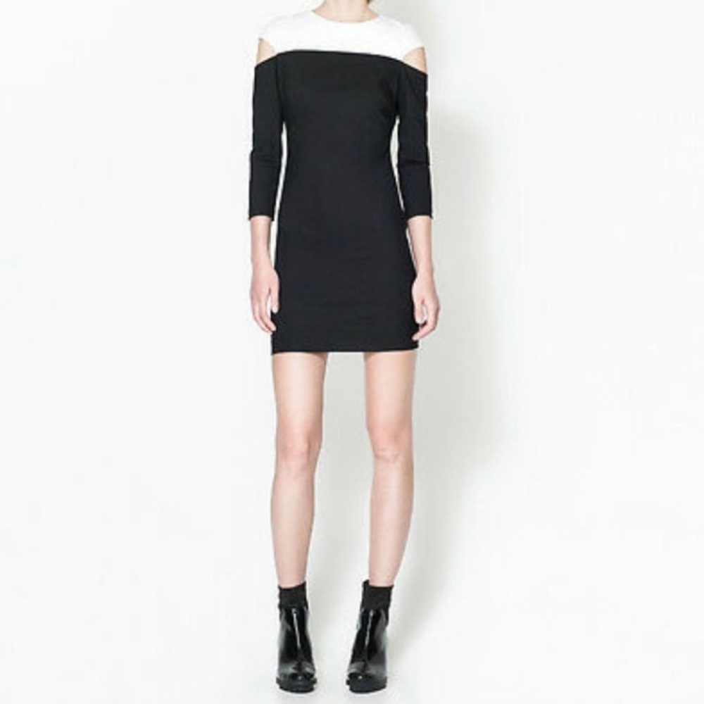Zara two-toned dress
